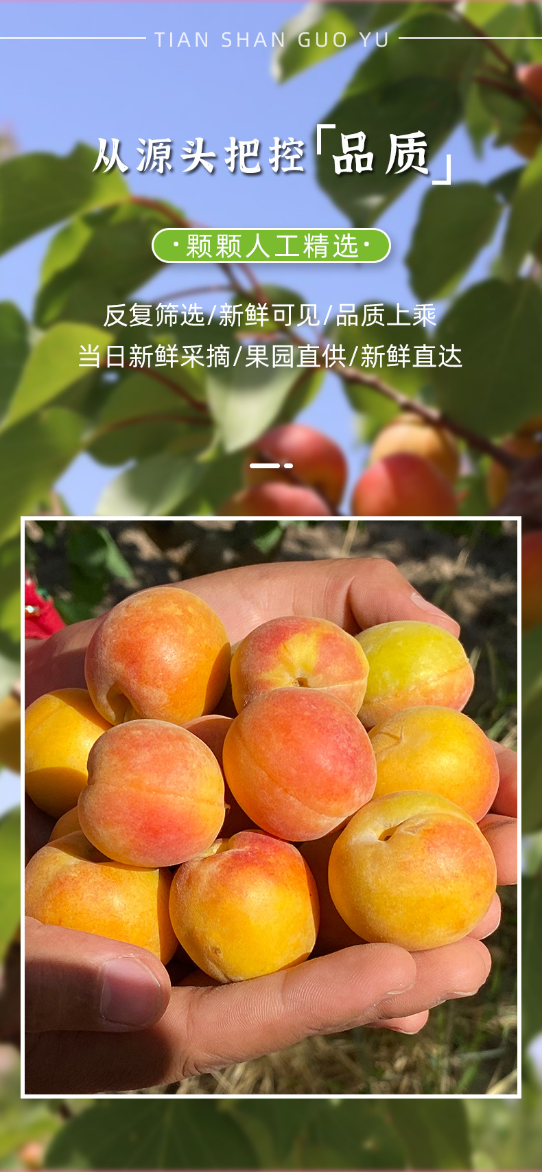 O1CN01OI8Ds826A10NMZ1cL_!!2217605777620-0-cib (1).jpg